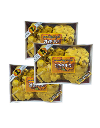 Nấm Thượng Hoàng Hàn Quốc 365 hộp quà tặng 0,5kg