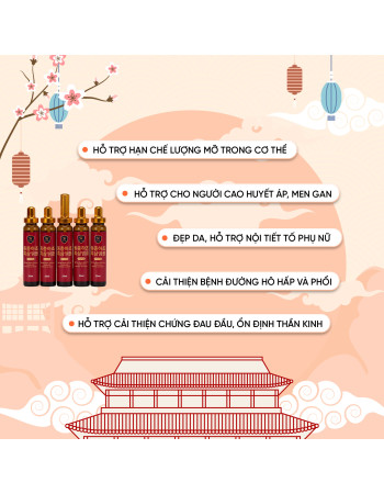 Tinh Chất Hắc Sâm Đông Trùng 20ml X 30 Ống